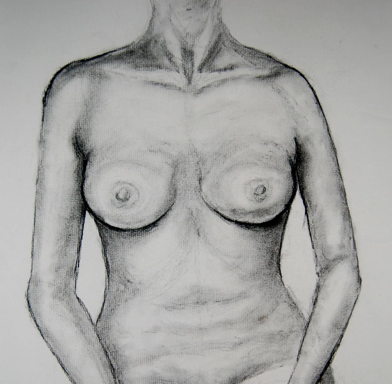 Charcoal anatomical study of a torso