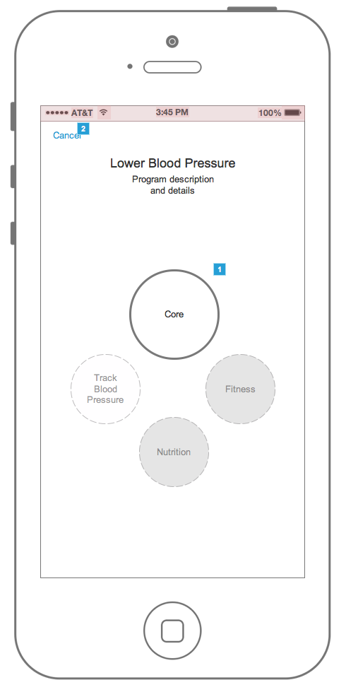 Early HealthMine program wireframe