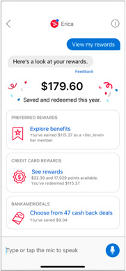 Redesigned Erica experience with structured rewards information