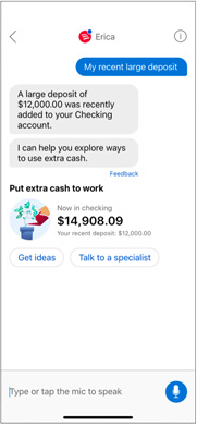 Redesigned Erica experience combining guidance with structured actions